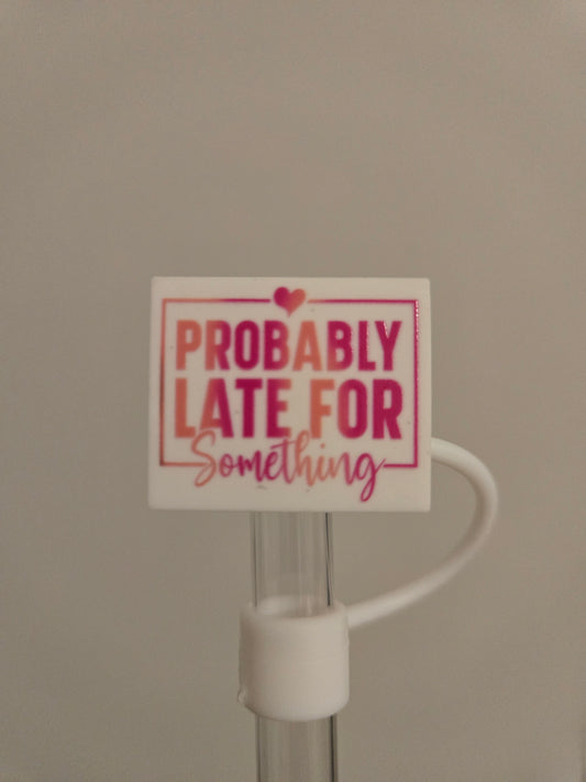 10MM ProbablyLate Silicone Strawtopper